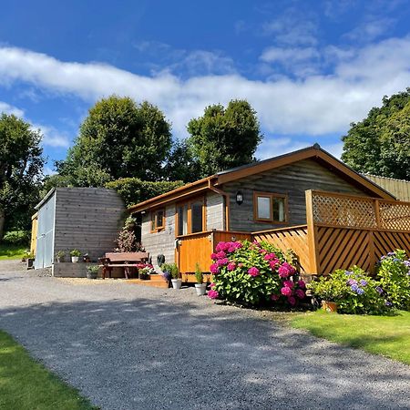 Swansea Log Cabin Pontardawe エクステリア 写真