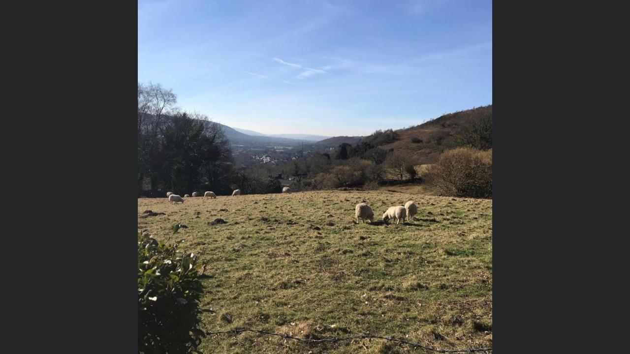 Swansea Log Cabin Pontardawe エクステリア 写真