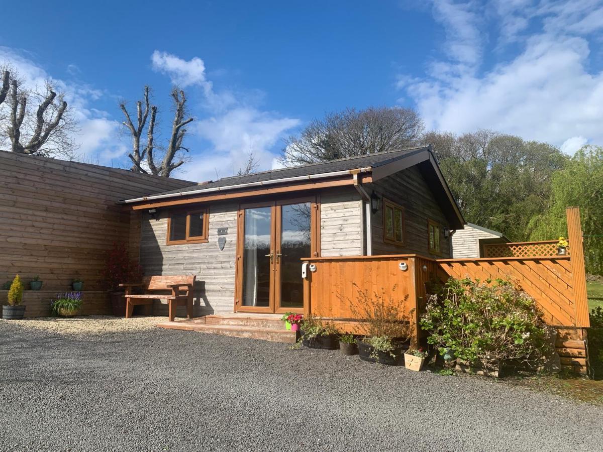 Swansea Log Cabin Pontardawe エクステリア 写真