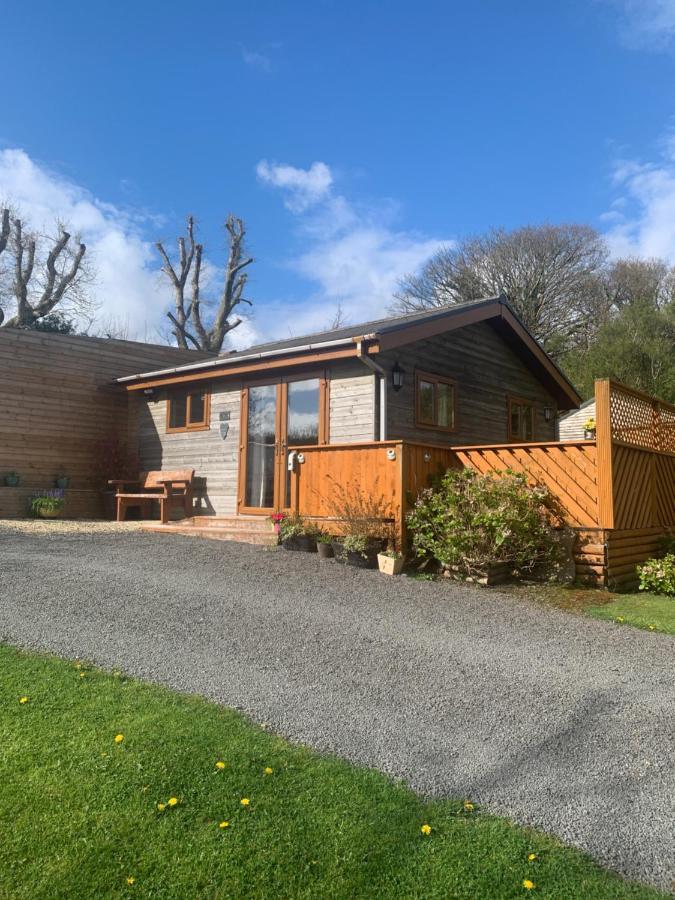 Swansea Log Cabin Pontardawe エクステリア 写真