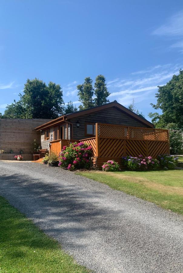 Swansea Log Cabin Pontardawe エクステリア 写真