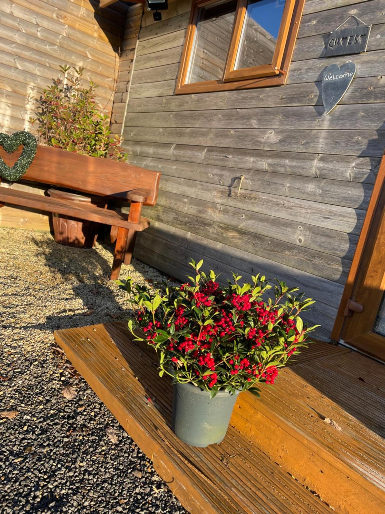 Swansea Log Cabin Pontardawe エクステリア 写真
