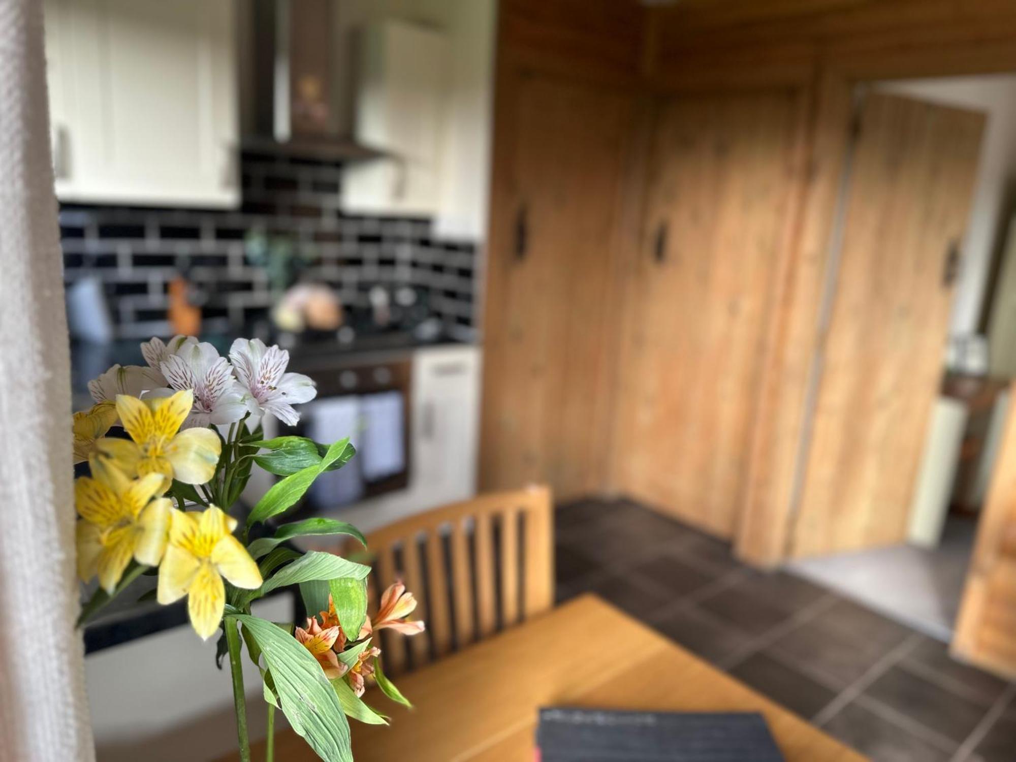 Swansea Log Cabin Pontardawe エクステリア 写真