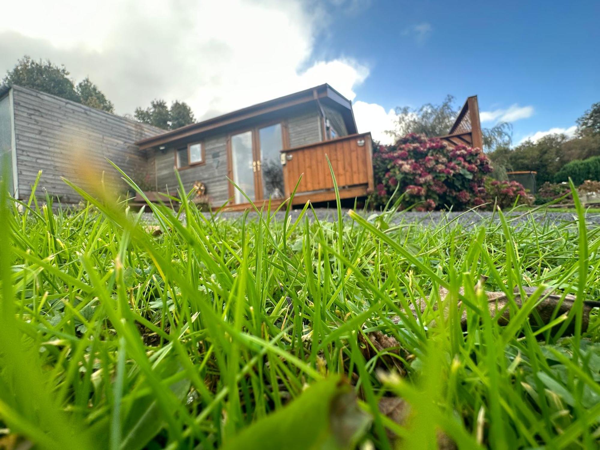 Swansea Log Cabin Pontardawe エクステリア 写真
