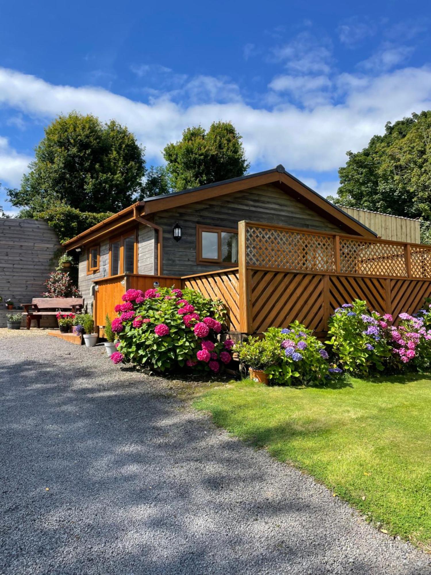 Swansea Log Cabin Pontardawe エクステリア 写真