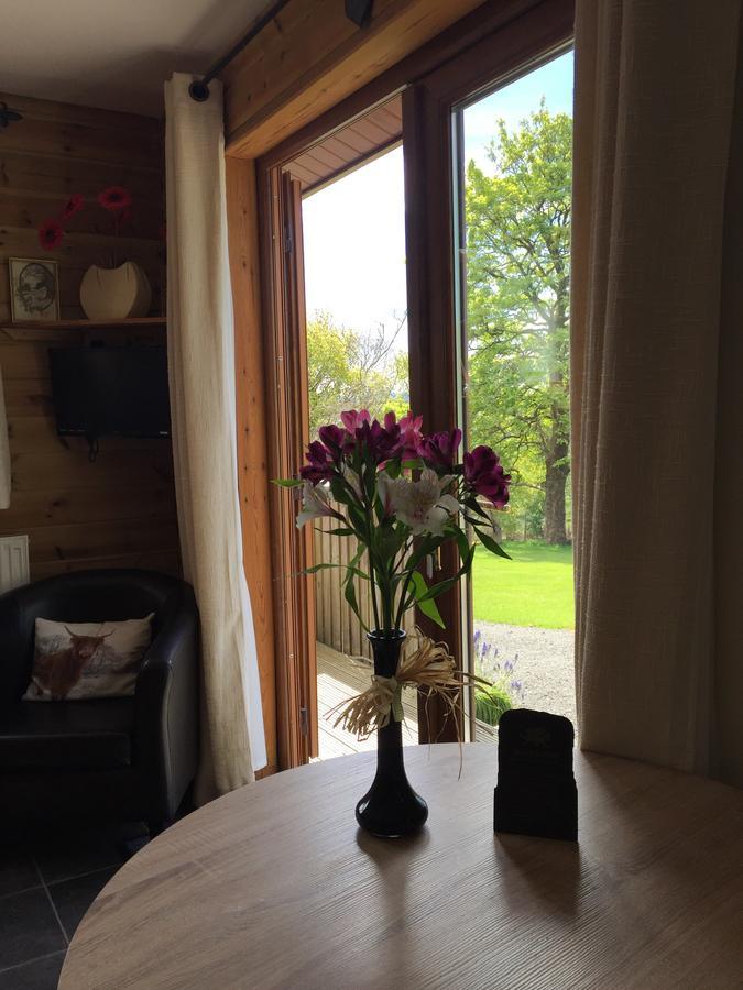 Swansea Log Cabin Pontardawe エクステリア 写真