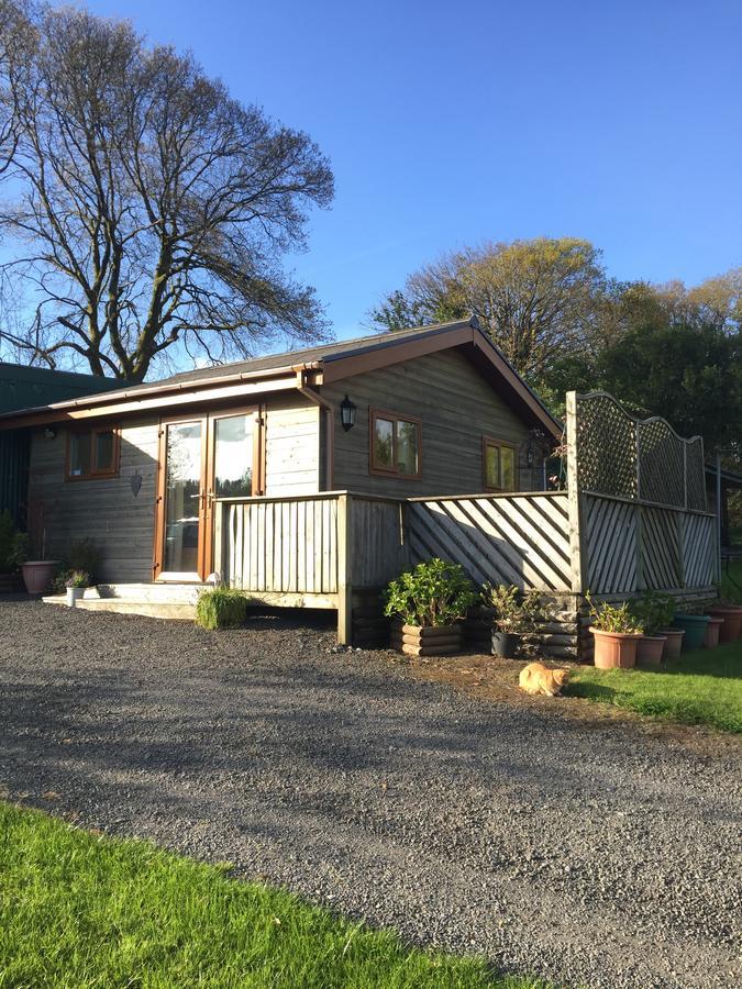 Swansea Log Cabin Pontardawe エクステリア 写真