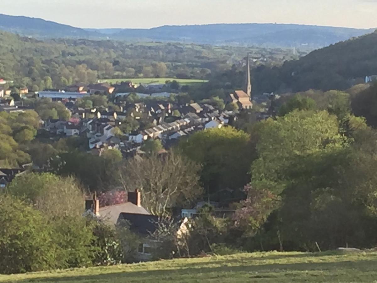Swansea Log Cabin Pontardawe エクステリア 写真